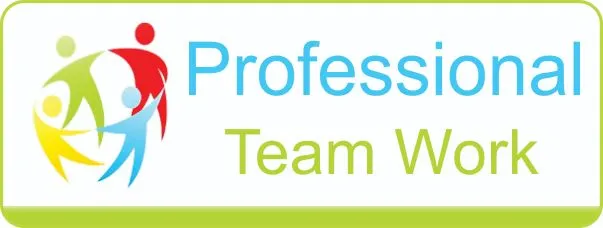 Our Professional Team